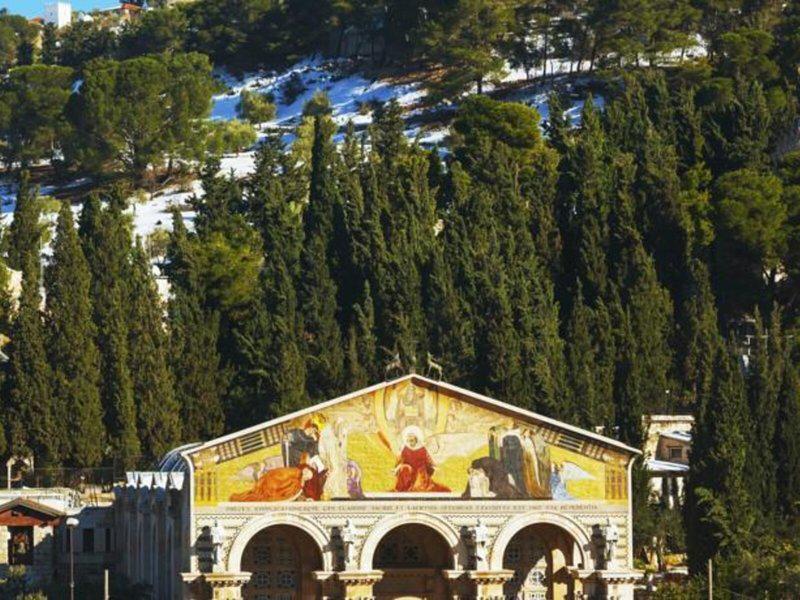 B572E5FAA8178A61E4C3C3936B19DA85