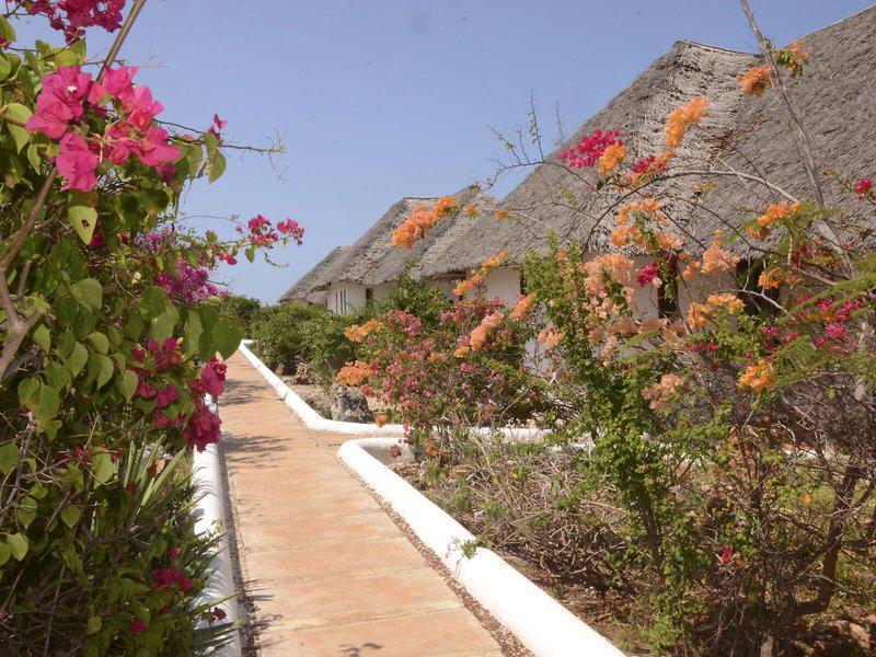 A016054DE2C636AF83E0559FE15D63CB