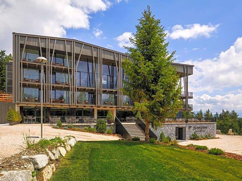 AC70C904B00E7D9786618435C1BBD4E1