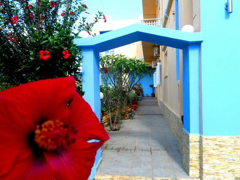 BEE9745007772E83E2ED7E0C8AA7919C