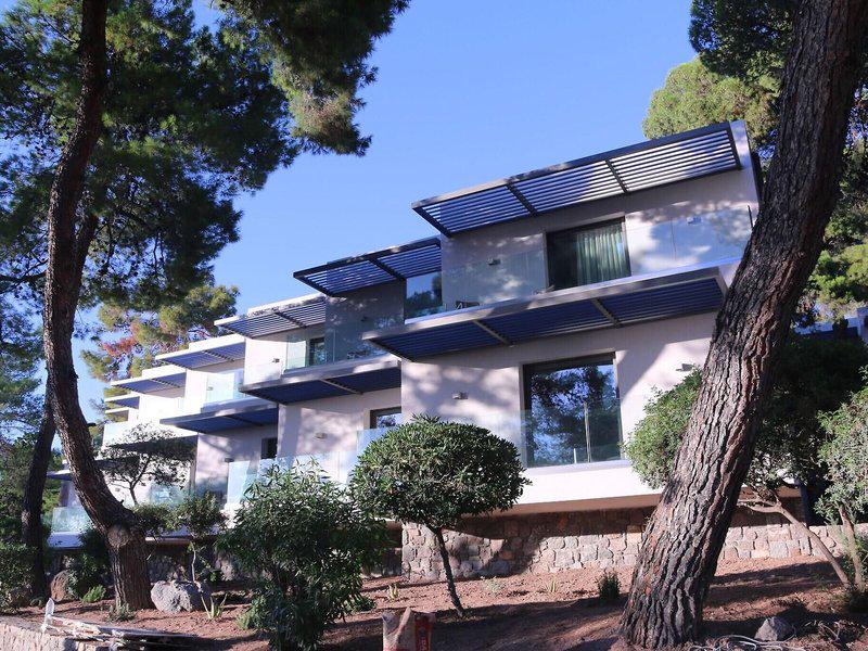 91E24C615443BACE7C486DEAEE046B43