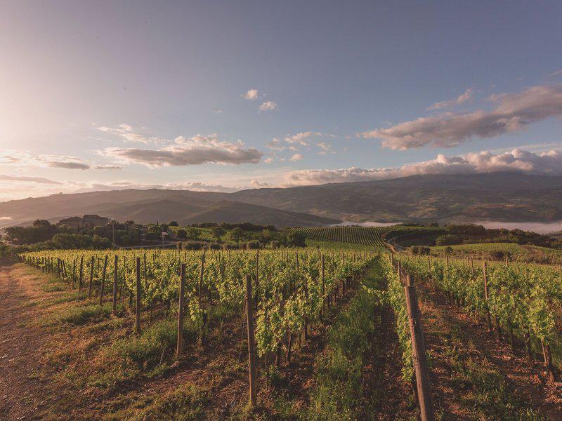 8FDBBD3B1BC575FE8AC0FDF592BB40EE