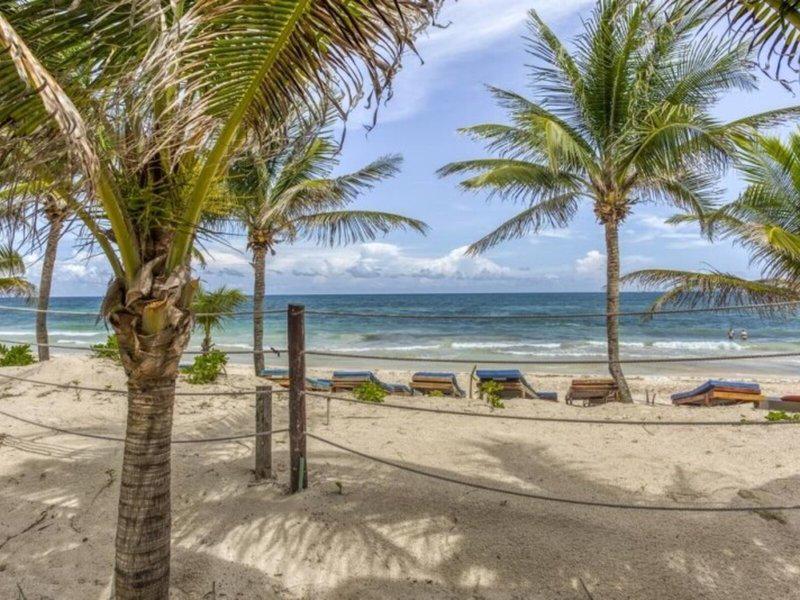 4E55A4EF3604131E262980045DA1E953