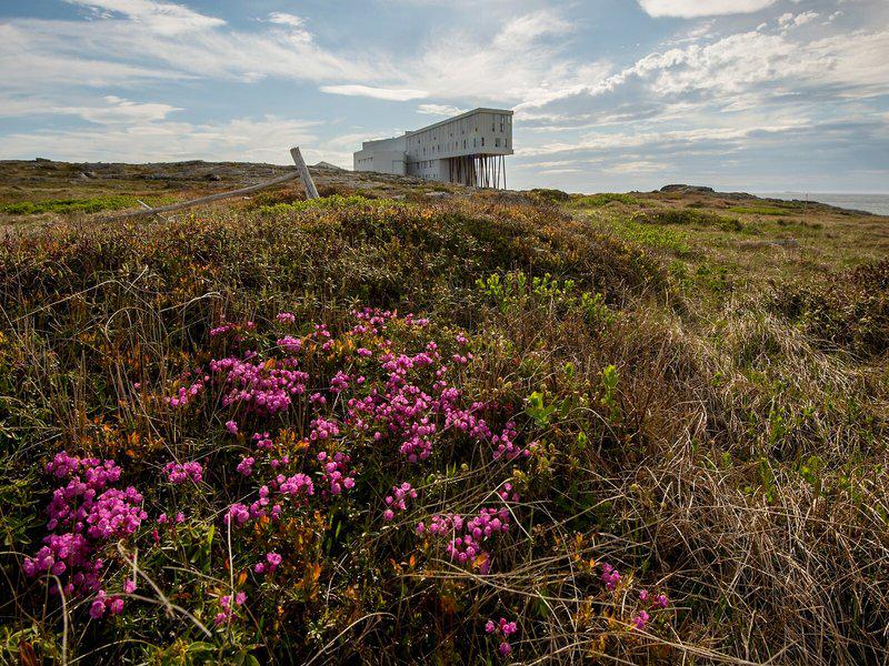 46D6118636942FA38BAF8197A955DE99