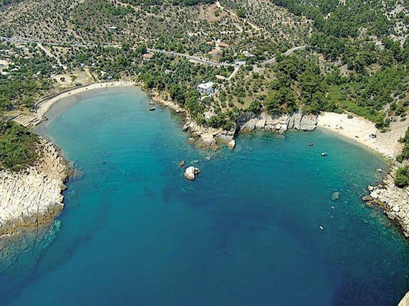 A8E91E86E1633E5425772B0AF39675E5