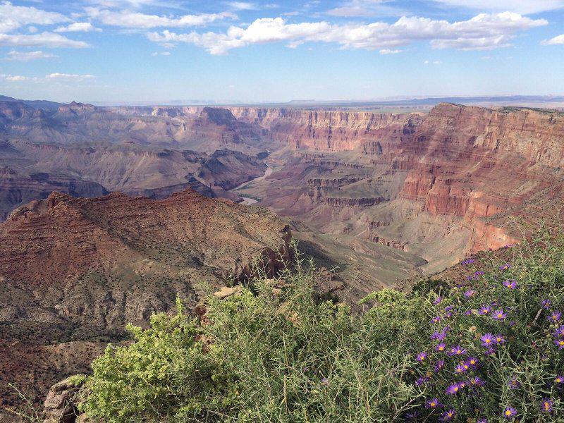 0D83805B36EA615996B1018971D0449D