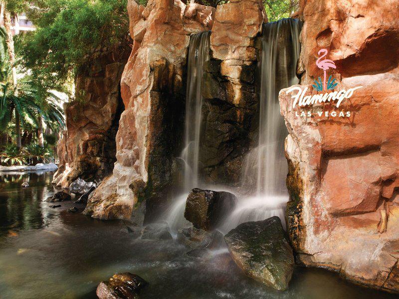 A44D5F3F92ABB431ED982BC3F52E08C8