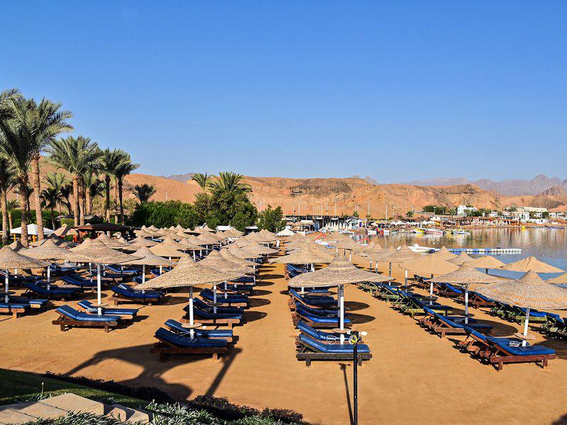 2954F1053BB267AD99D2279261645939