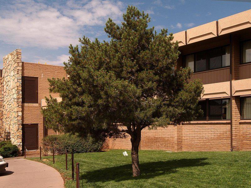 48389B4C6C4267F0653721275688EE35