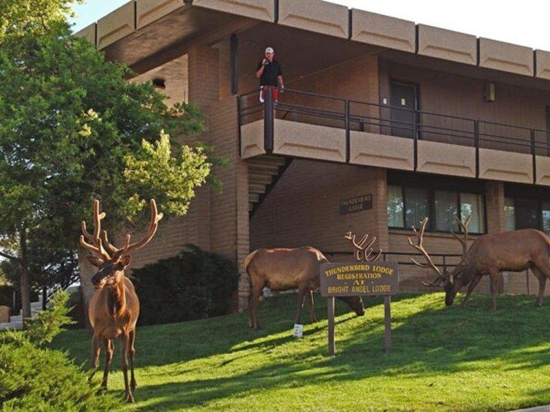 C72FBC27E1623F06522503E63DE4E3E7