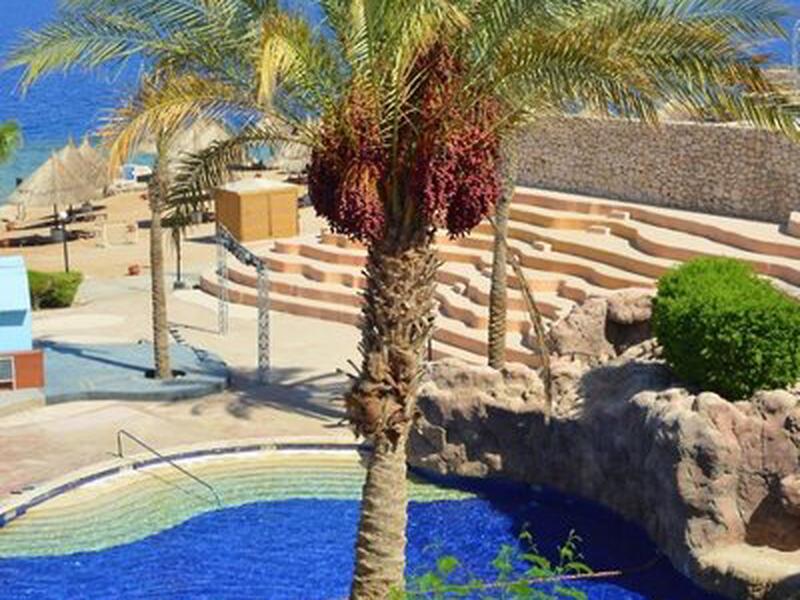 F1D30259D94531484FDCB03E40088926