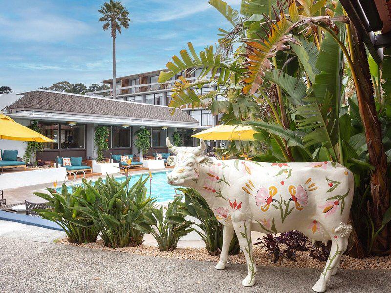 6644C65CD44D96EF125F26737C6EF452