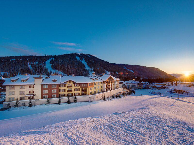 6E2532C824722A418B775C72912E90B9