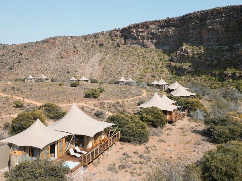 16E5ECDD95E8F9FD37D4F4A5FD9E26D9