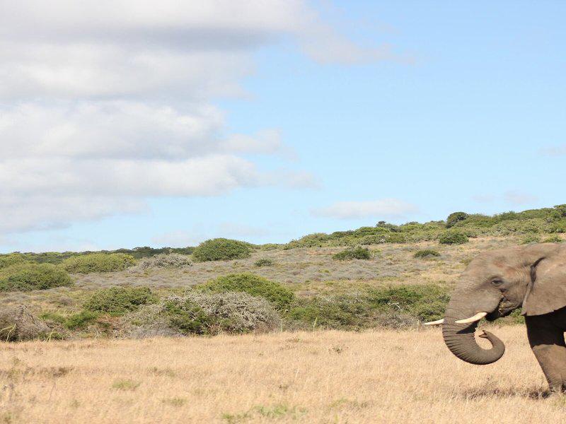 B9CED40D70014E15F45D82CBE5C59D56