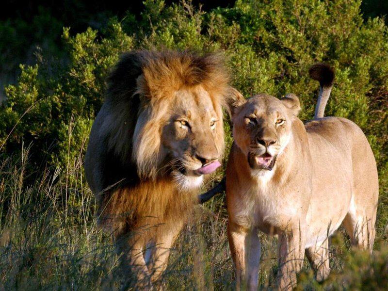 FF3056B7EF3FDC124FFA8A2C78513CFD