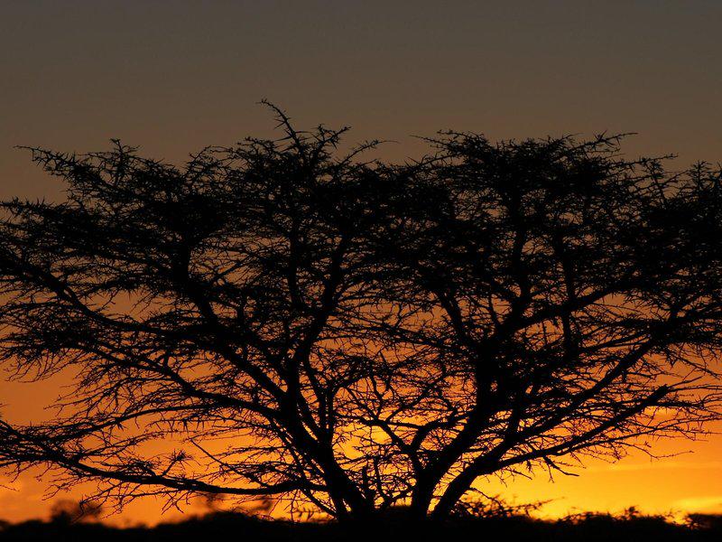 1D4019C5946FF7C884E42FEEBE11FF73