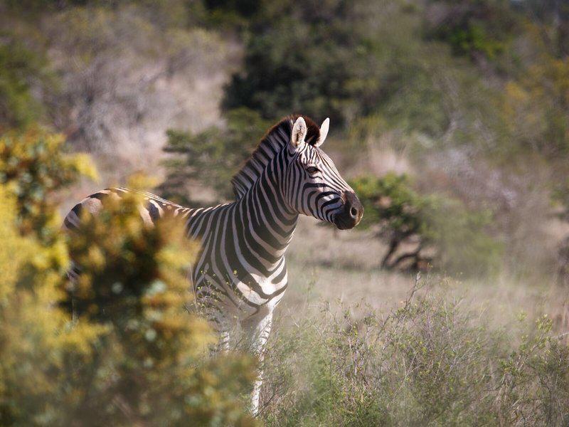 5877E685FE99686D69DEA59EEA4C6673