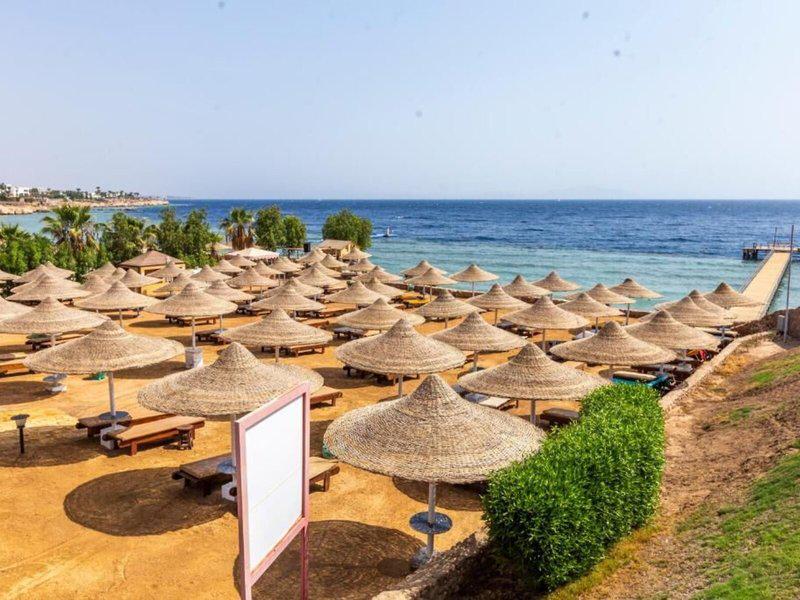 812D8B8E405BC6A66542C42D40A1C8E2