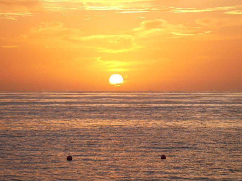 46102CA6882876D675A783F55D5D3359