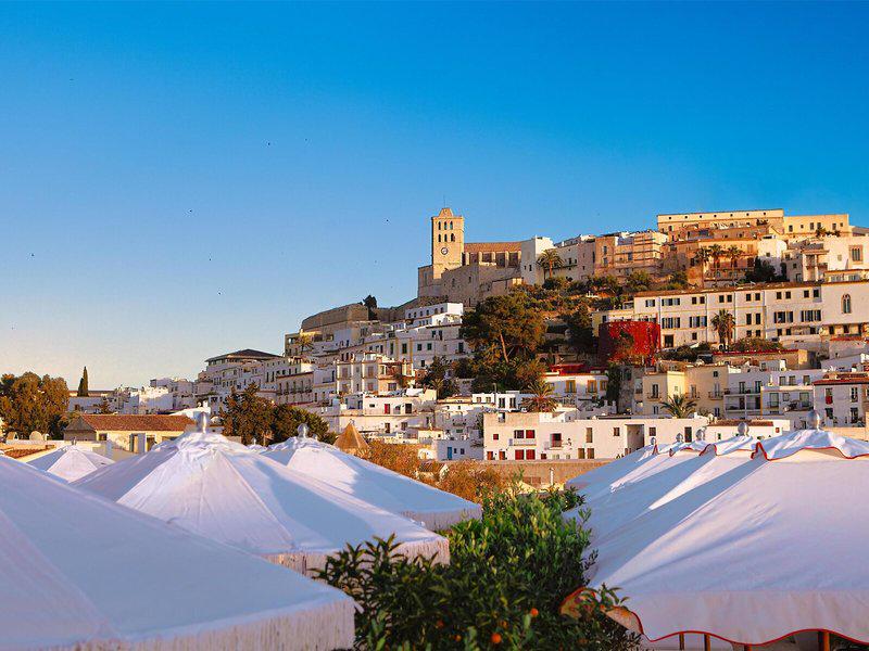 988031356D099E7505898A92D91A7F2D