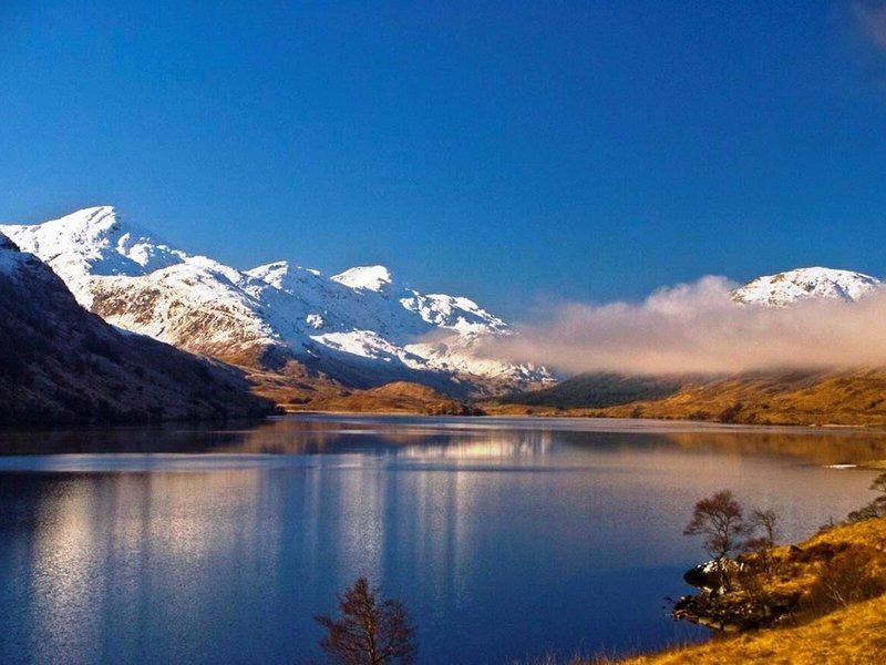 CAF69C61C93947BD8C12A7AC3B22C5DE