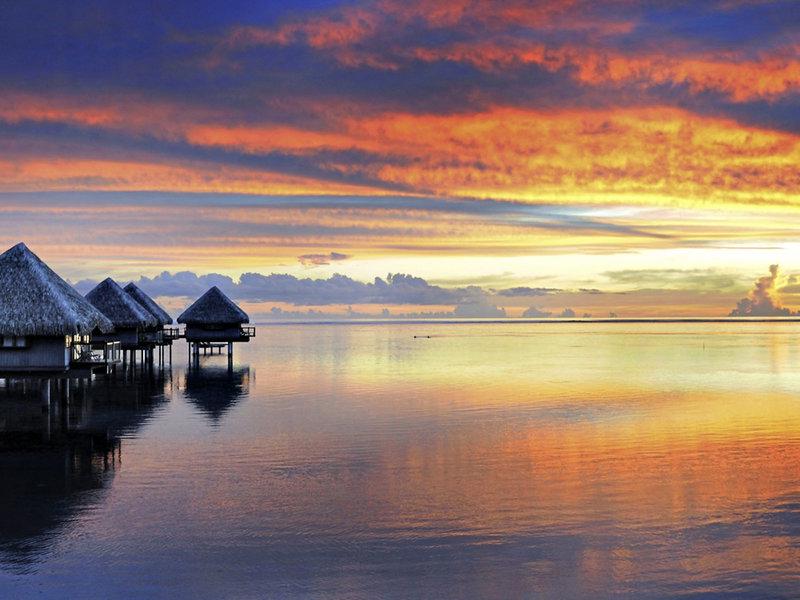 D1F40B81D3219DA446BDFDDC785C843D