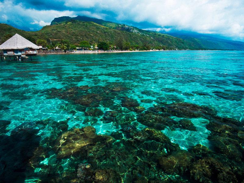 3B9740C964C87CD2358E52F5BF6D554C