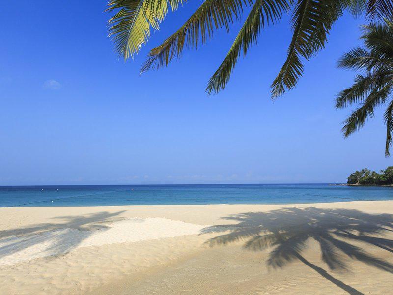 1951AB3DD2E832E2F0EE3B5DDCAC32ED