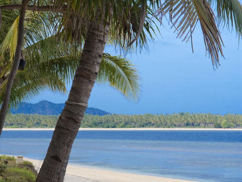 2DA0AE2BFB2863A9D5471B2C69C859C9