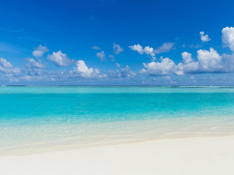 9B090F1B1B4E5EA80FE94ACFFC5CF2A7