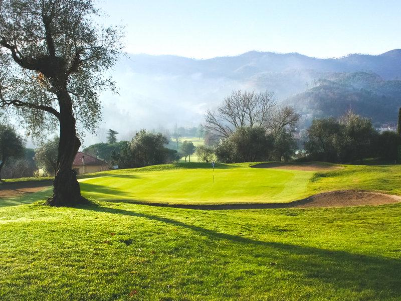 CF7A70CC091597E1397EB20F51DE773D