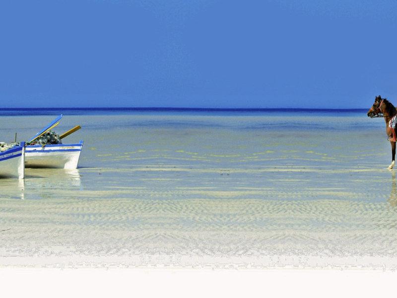 F484772293313798DFB62DFD45D05FB3