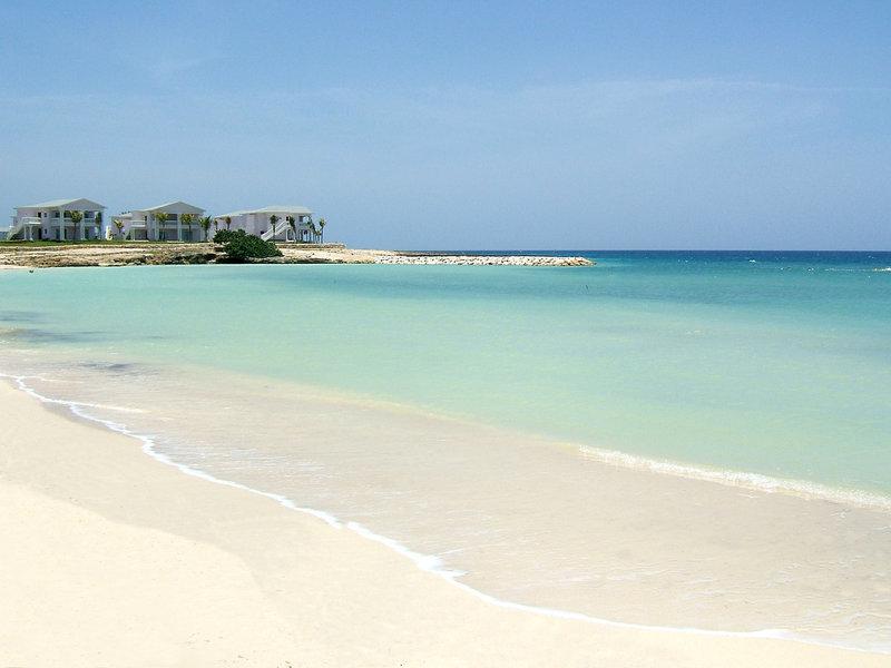 98E2A884881D627753DCAF360B3B30A8