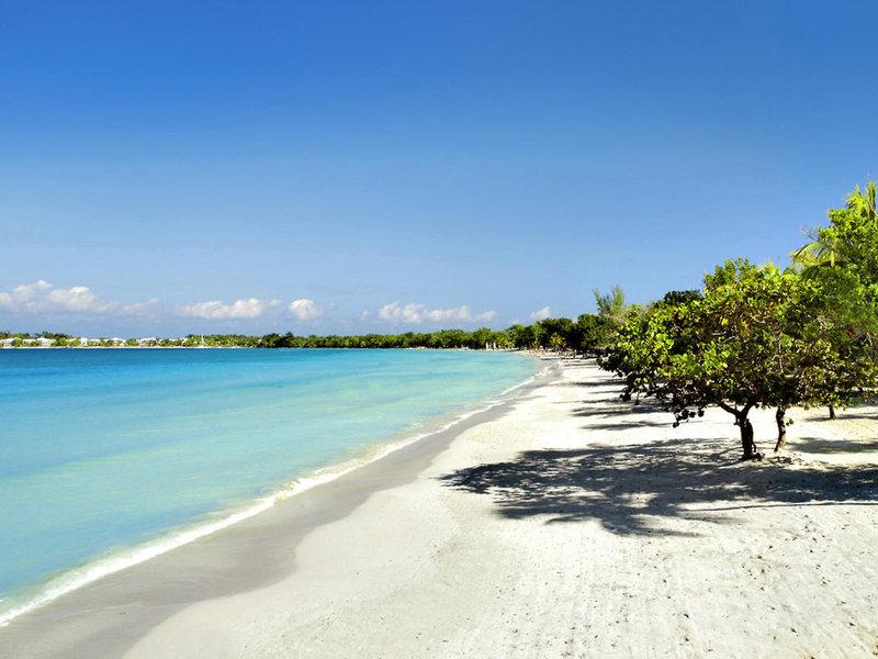 A3C4D62E88E2DC0A555453588E973B42