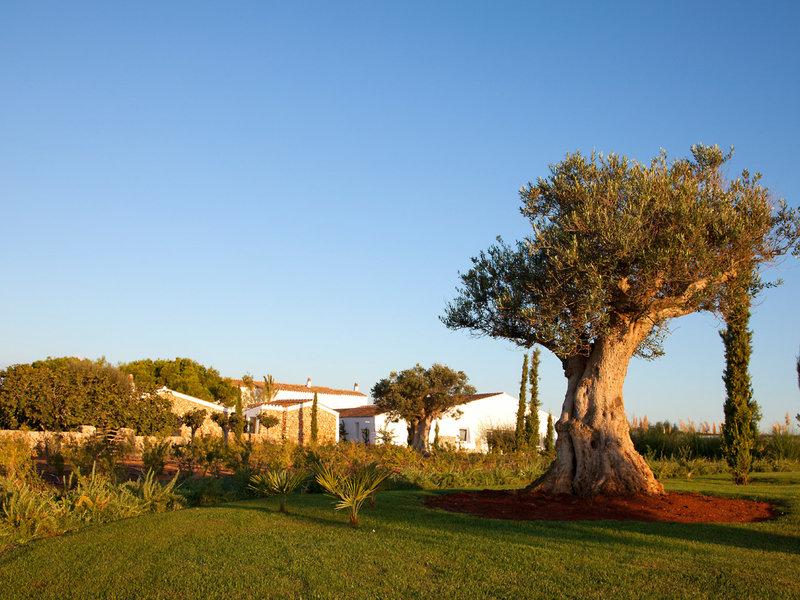 08034244E0DC7BDB906FE3D78C155FF5