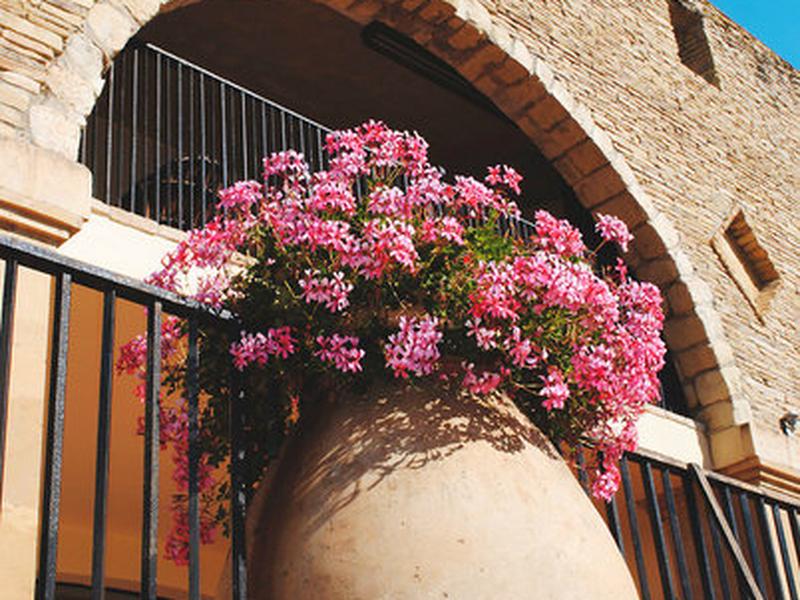 1E7ABAE1E37BF8E5165BE604972F370C