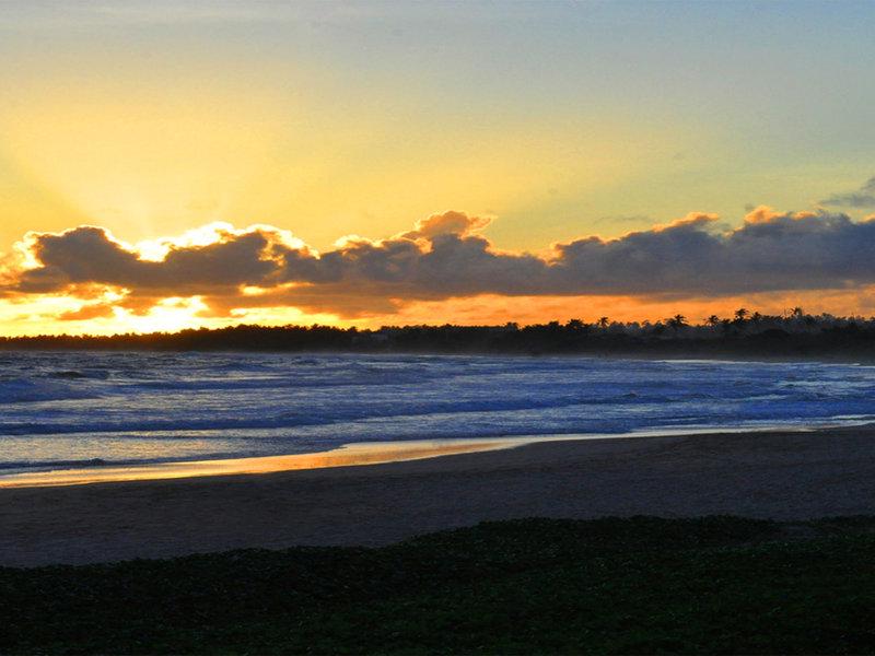 8E491C178F7B73E04D9ADF8E661718F3