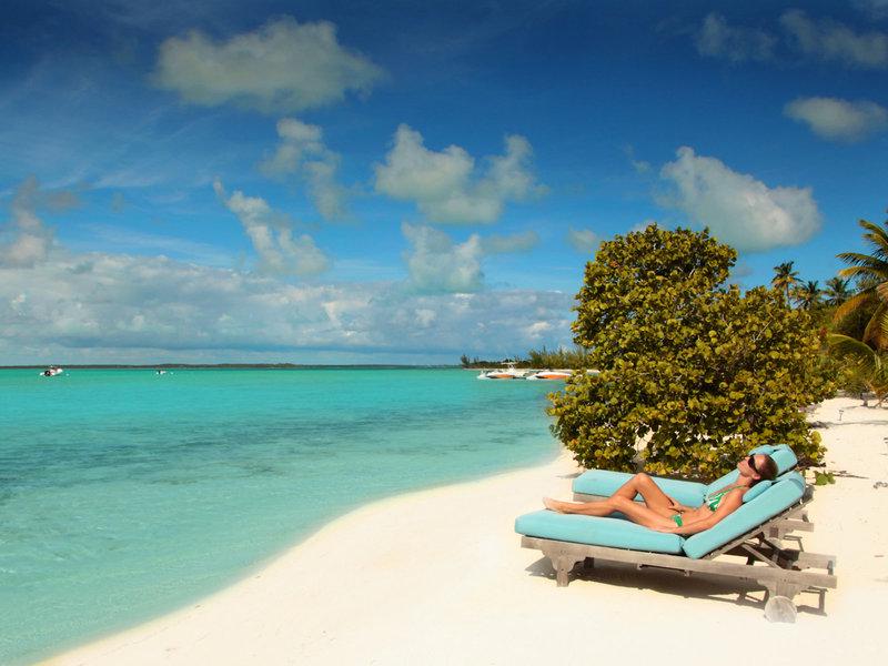 631398101B6BD46EA26F2E9FE2401854