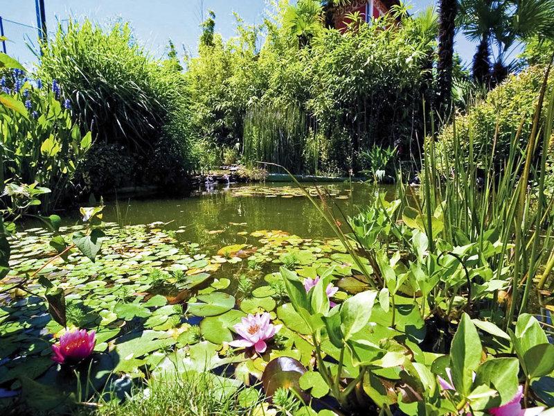 7AB345EF8642A8C5C09D76D7E80F4A1D