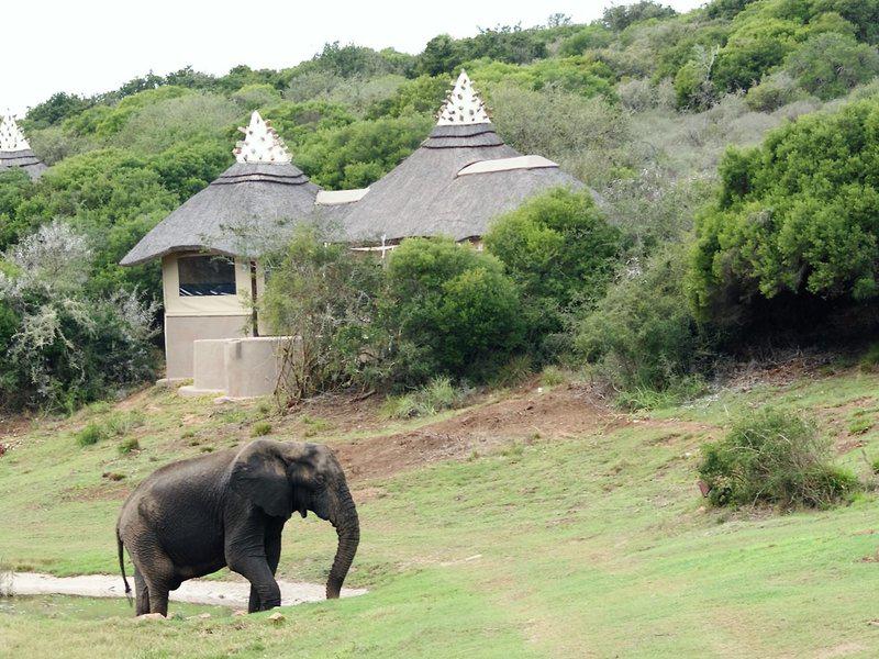 C805CB3FA06317020FE26FBE18DE372E