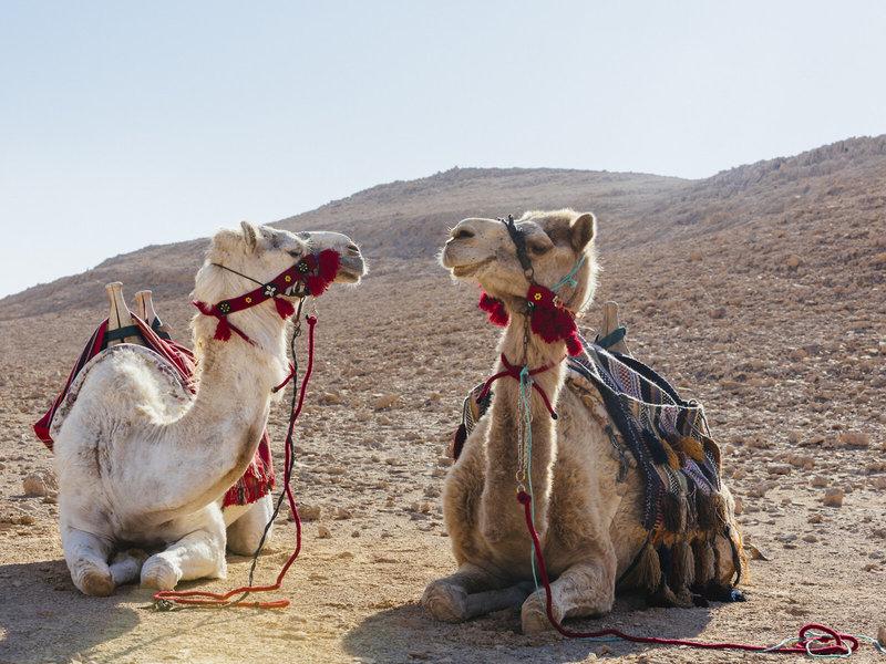 2FB19EBF0B8C0763B7F98770EAB7C191