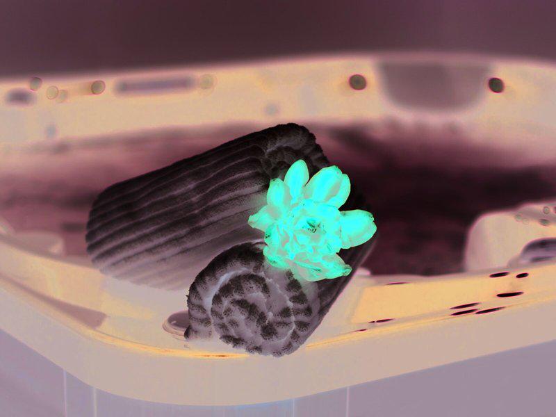 0927BE376A36129D00019714DB7DBF56