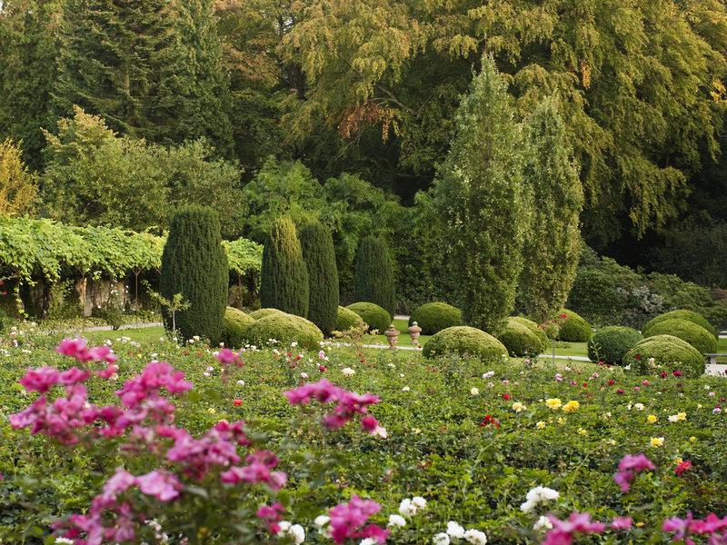 4DEA5B3A045AC57F11FA20CCCA9B7D3E