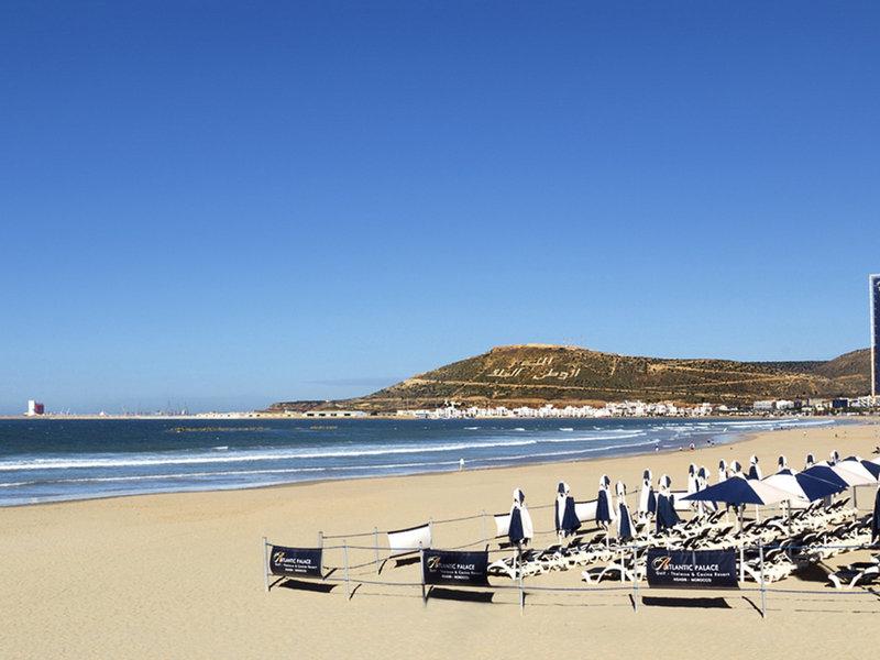 B8FF23D7FDD1E7C41FBFC9A6279E4EBC