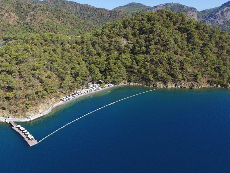 2DF887E07A6C4BF52E1B39A1B4C393AF