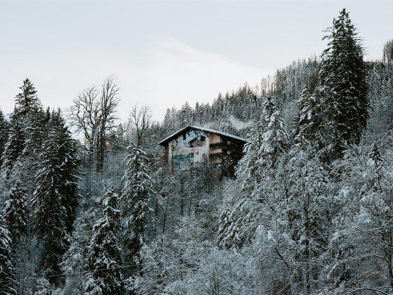 6F49A29B9C4426A0603497827E6C3594