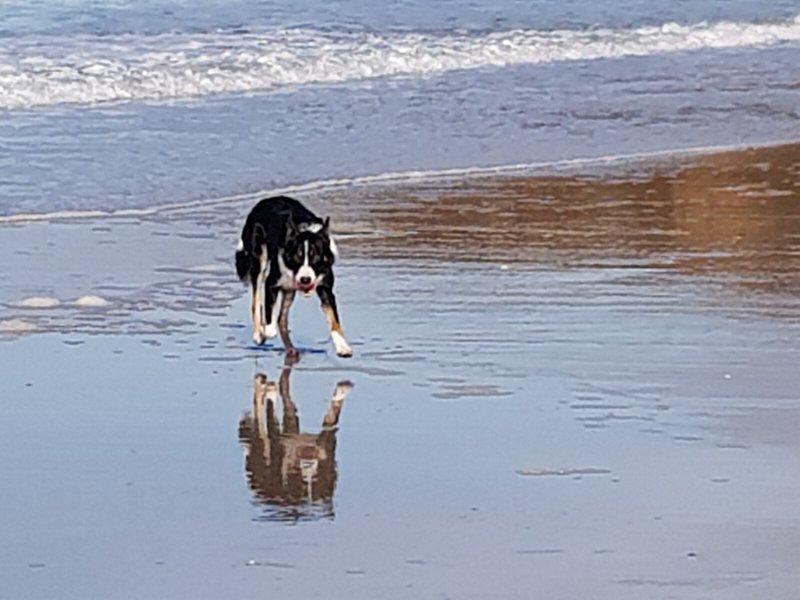 657D8FF840DD99FBB2AC31646B1B7903