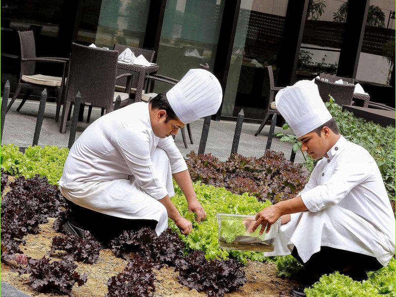 D093DF759084AEE80361F61A46BBAAC4