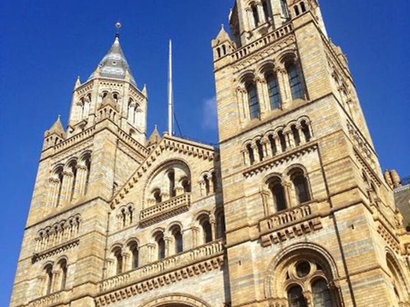 D874BEF7524EF64575D46F9EF218CEDB